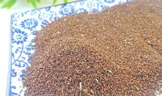 月见草种子 月见草种子